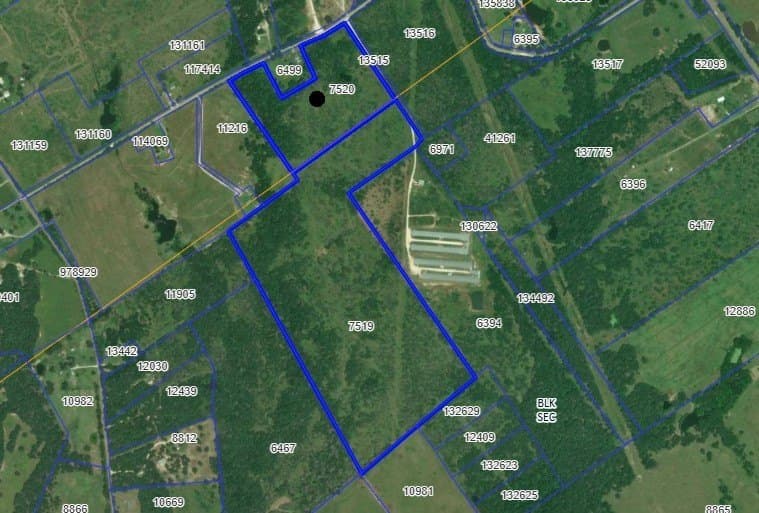 99.75 acres in Limestone County gallery image 2