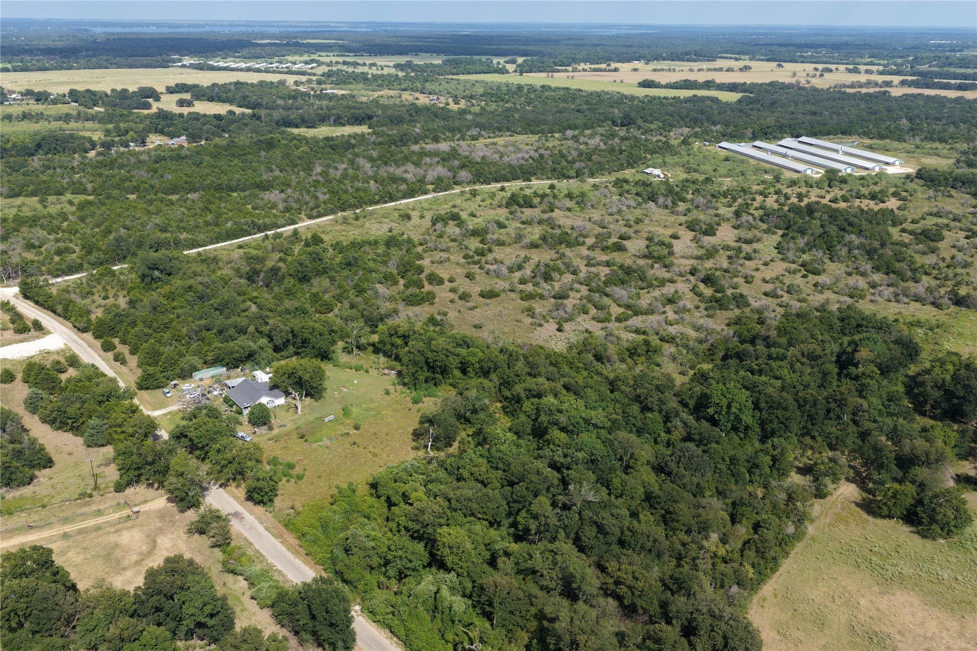 99.75 acres in Limestone County gallery image 4