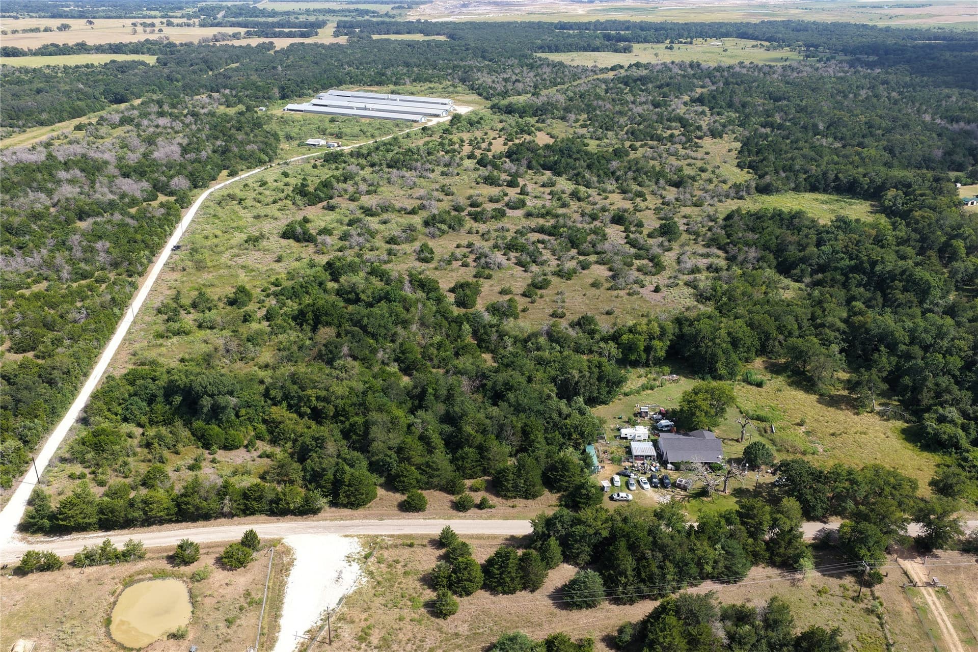 99.75 acres in Limestone County gallery image 3