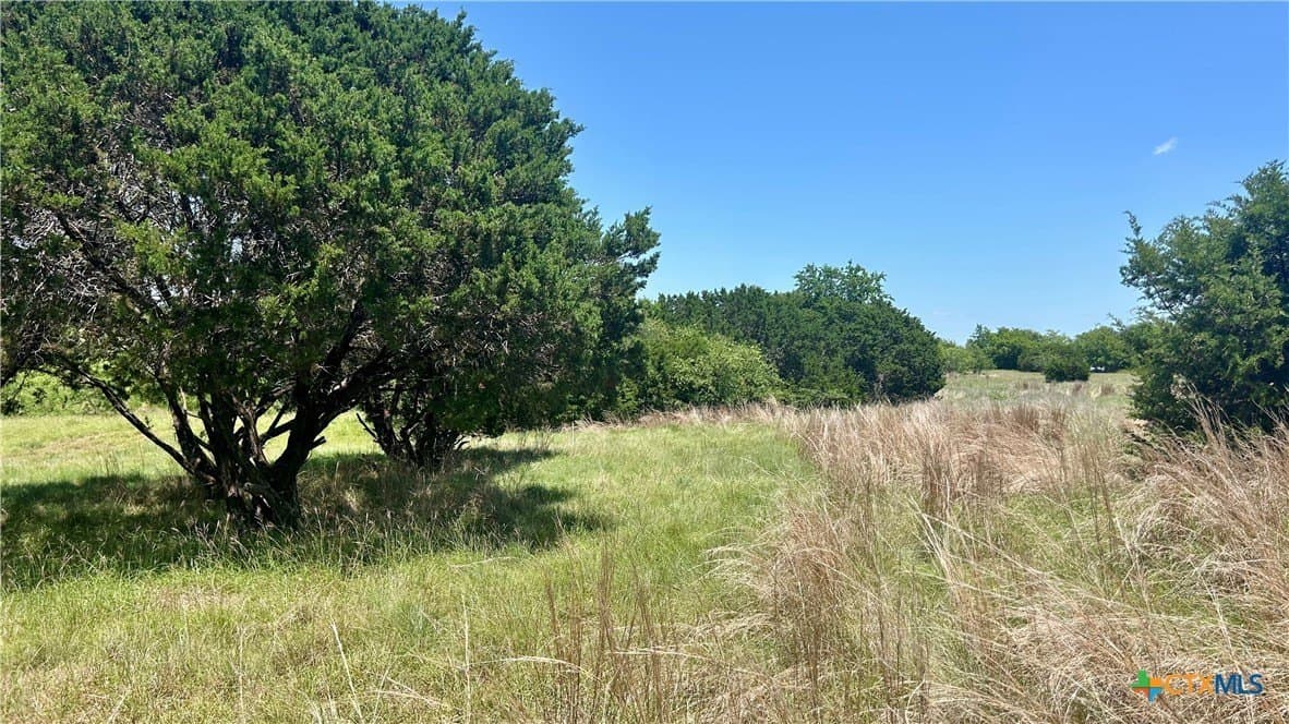10.74 acres in Coryell County - photo 16