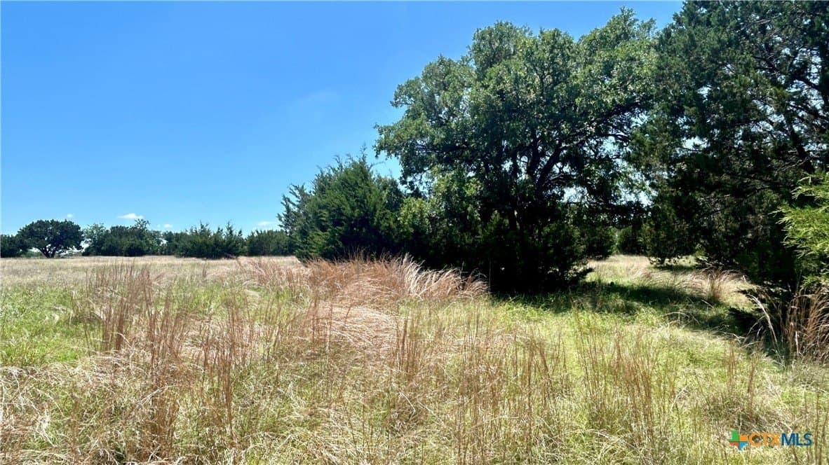 10.74 acres in Coryell County - photo 9
