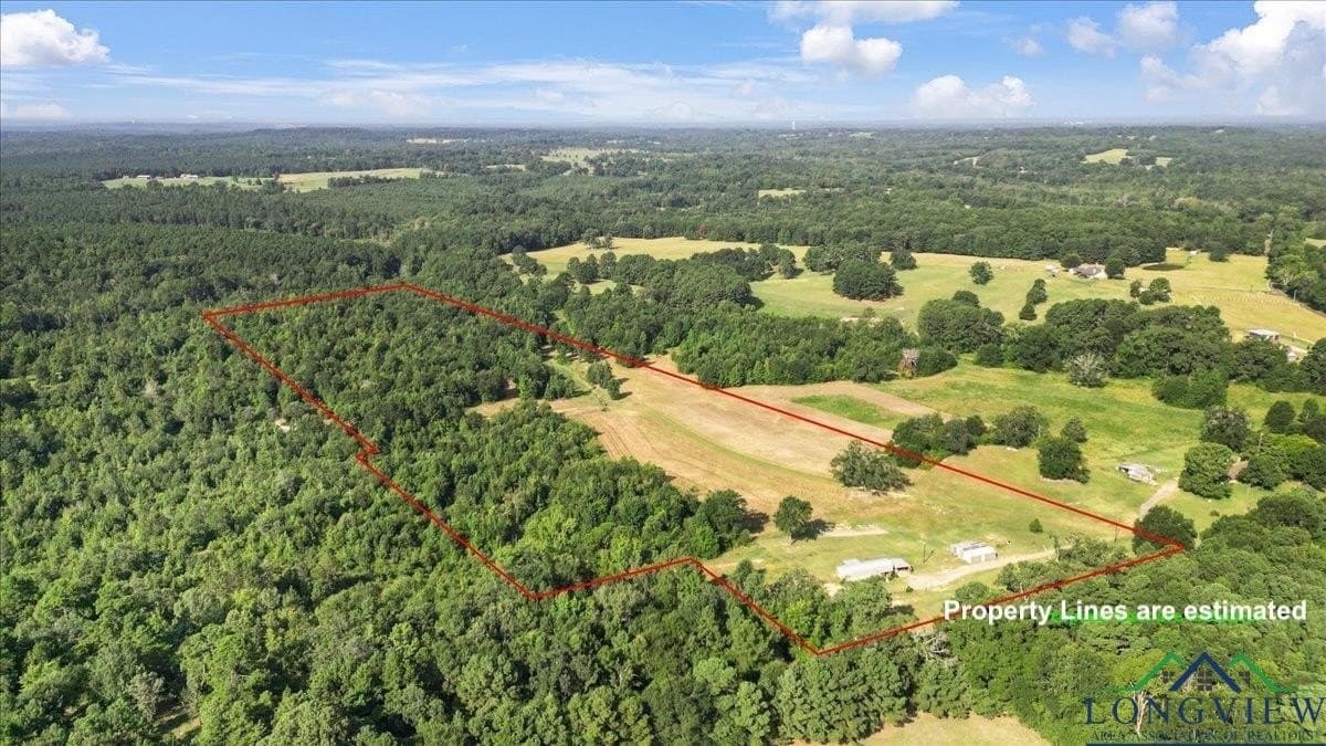 32 acres in Upshur County gallery image 3