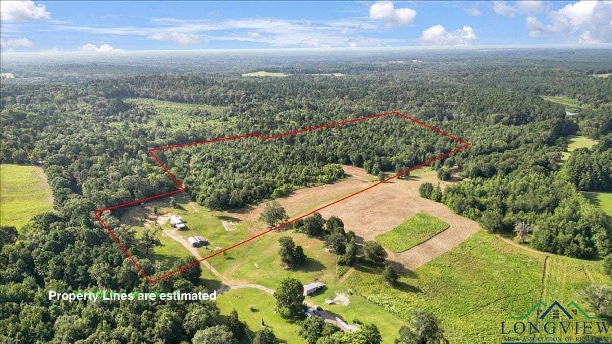 32 acres in Upshur County gallery image 4