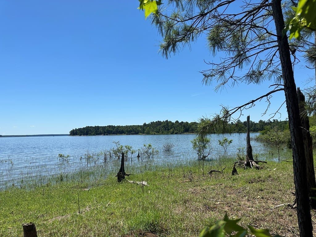 3.77 acres in Texas County gallery image 3