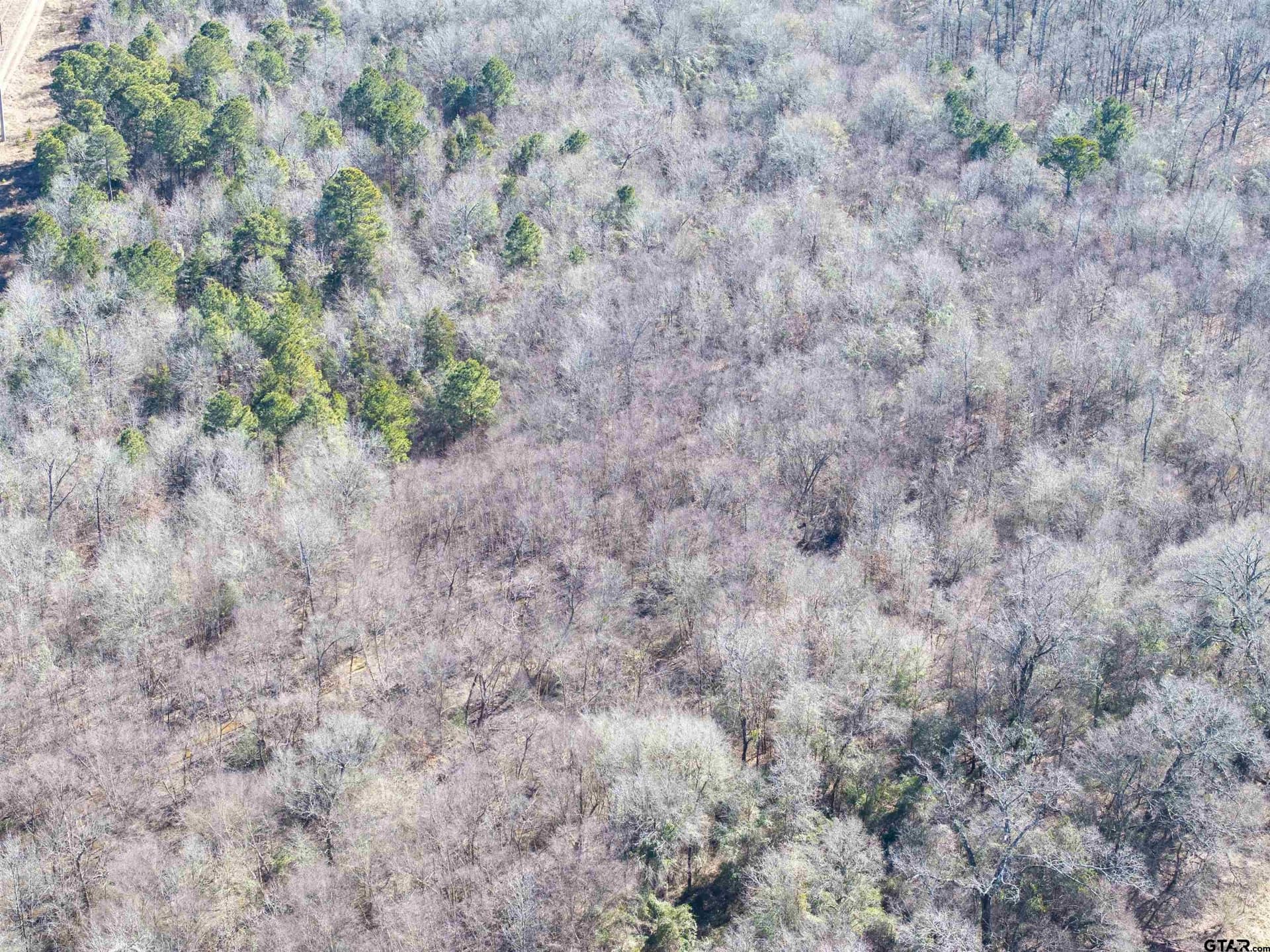 25.11 acres in Camp County - photo 6