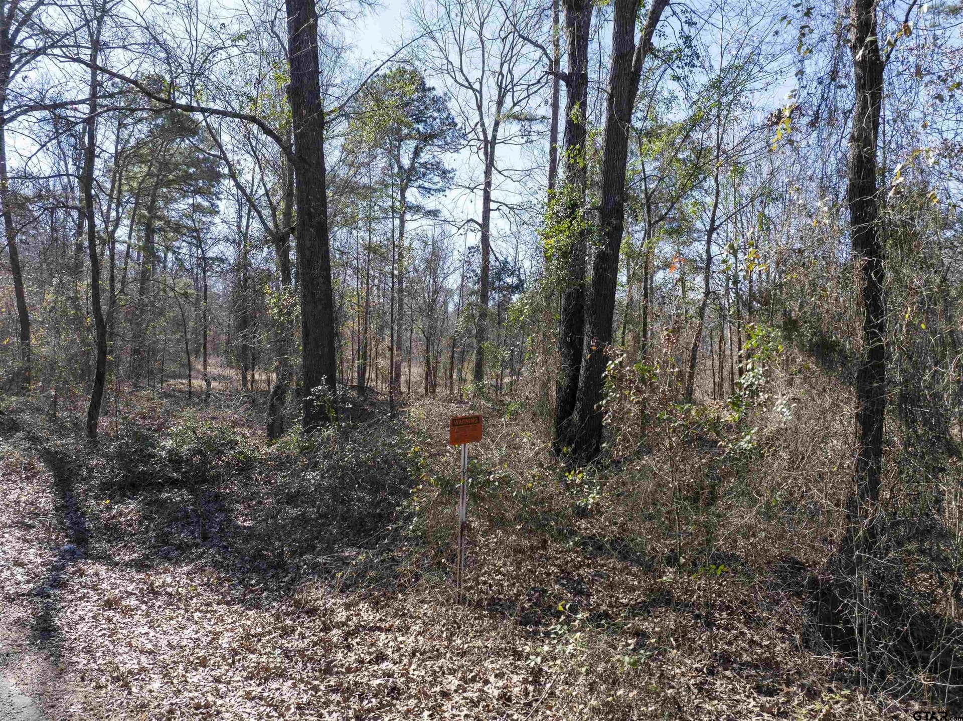 25.11 acres in Camp County - photo 7