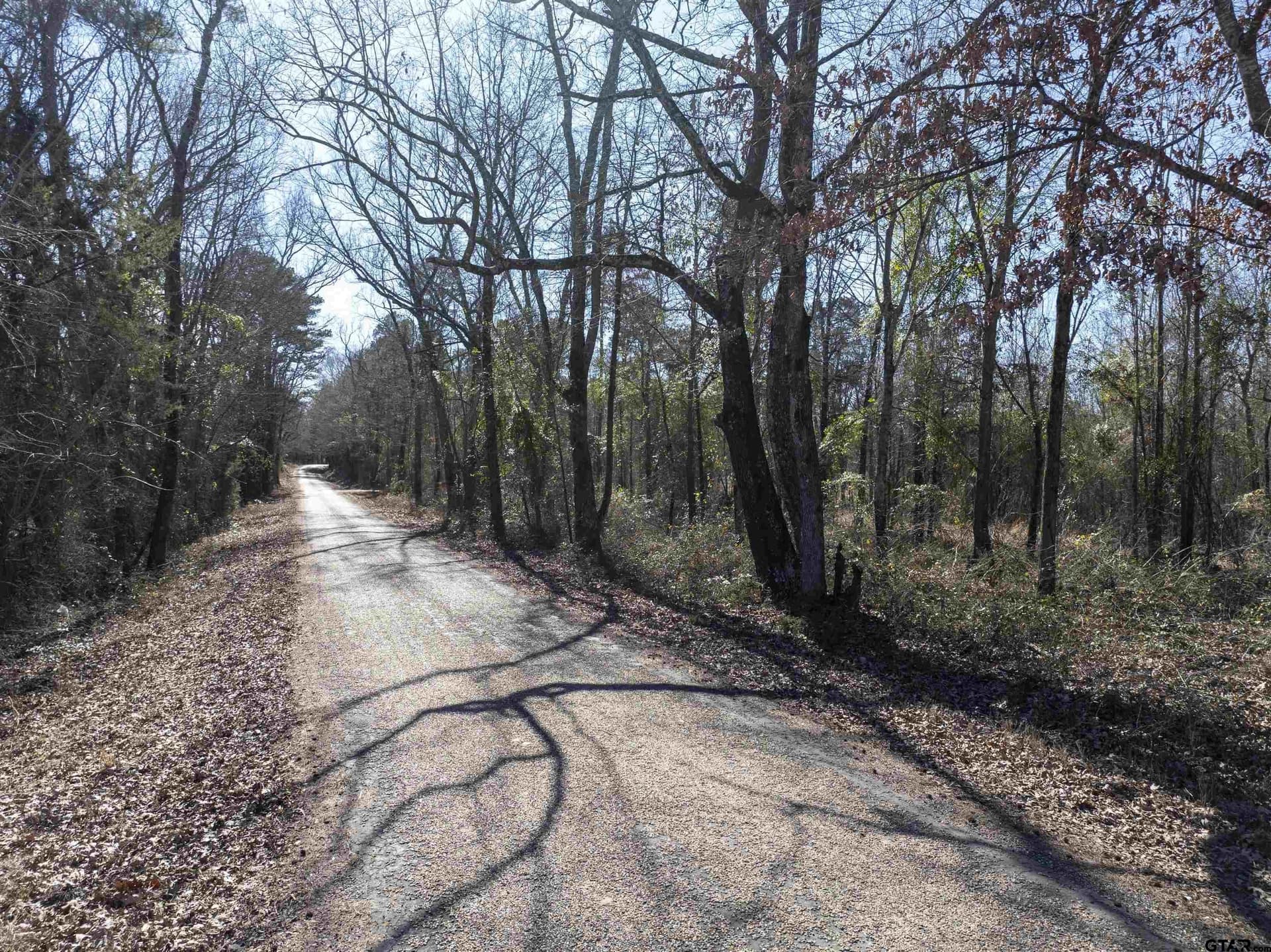 25.11 acres in Camp County - photo 9
