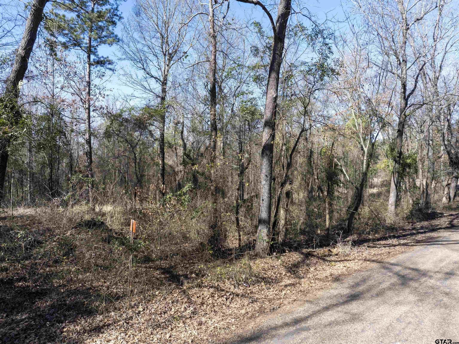 25.11 acres in Camp County - photo 10