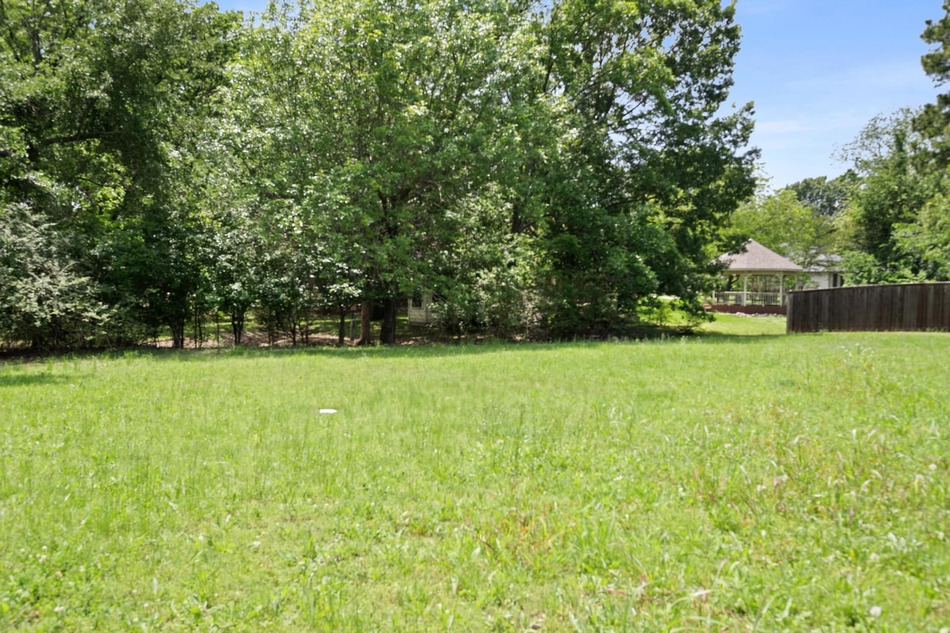 0.38 acres in Fannin County - photo 12
