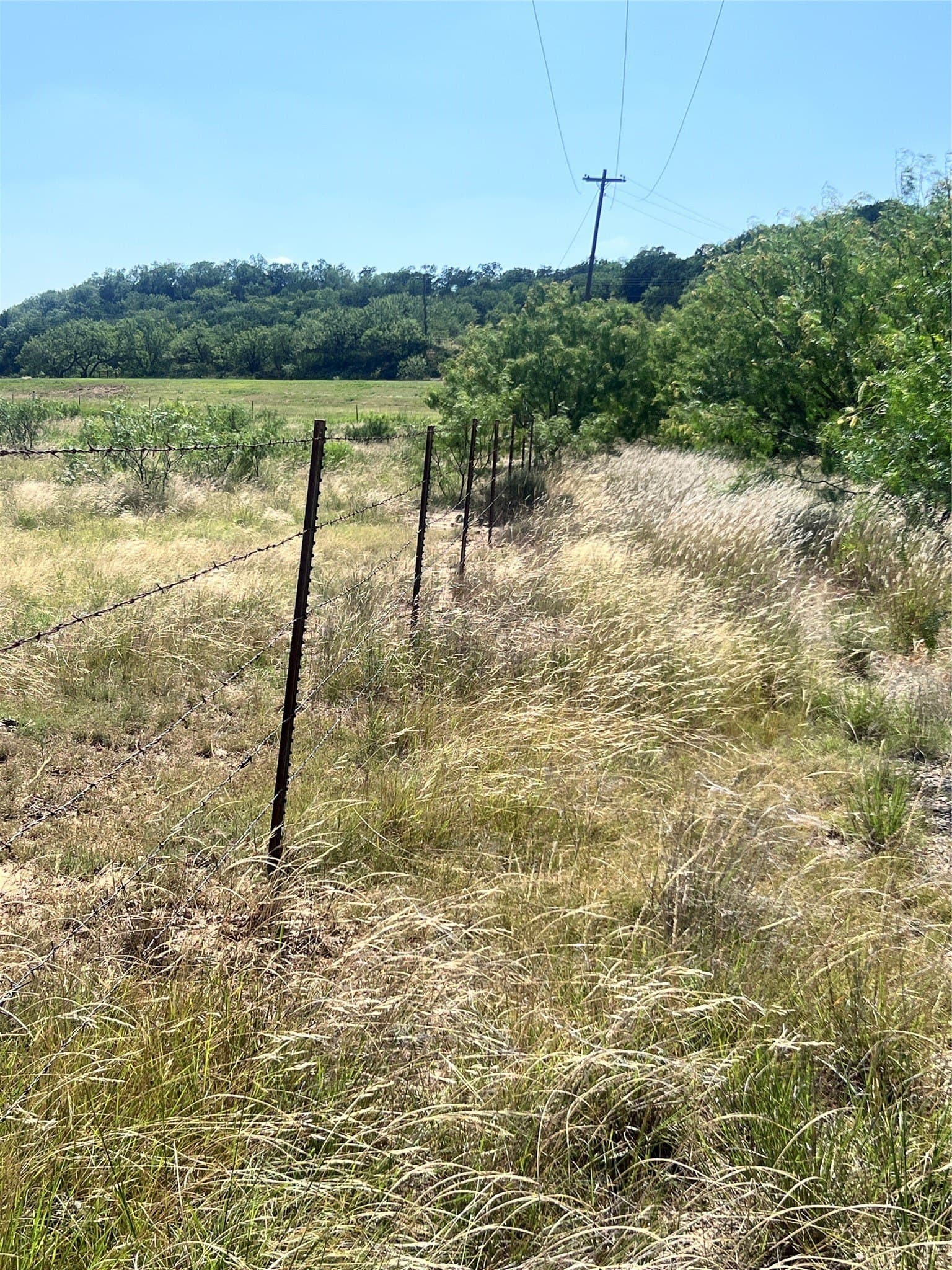 35.86 acres in Young County - photo 30