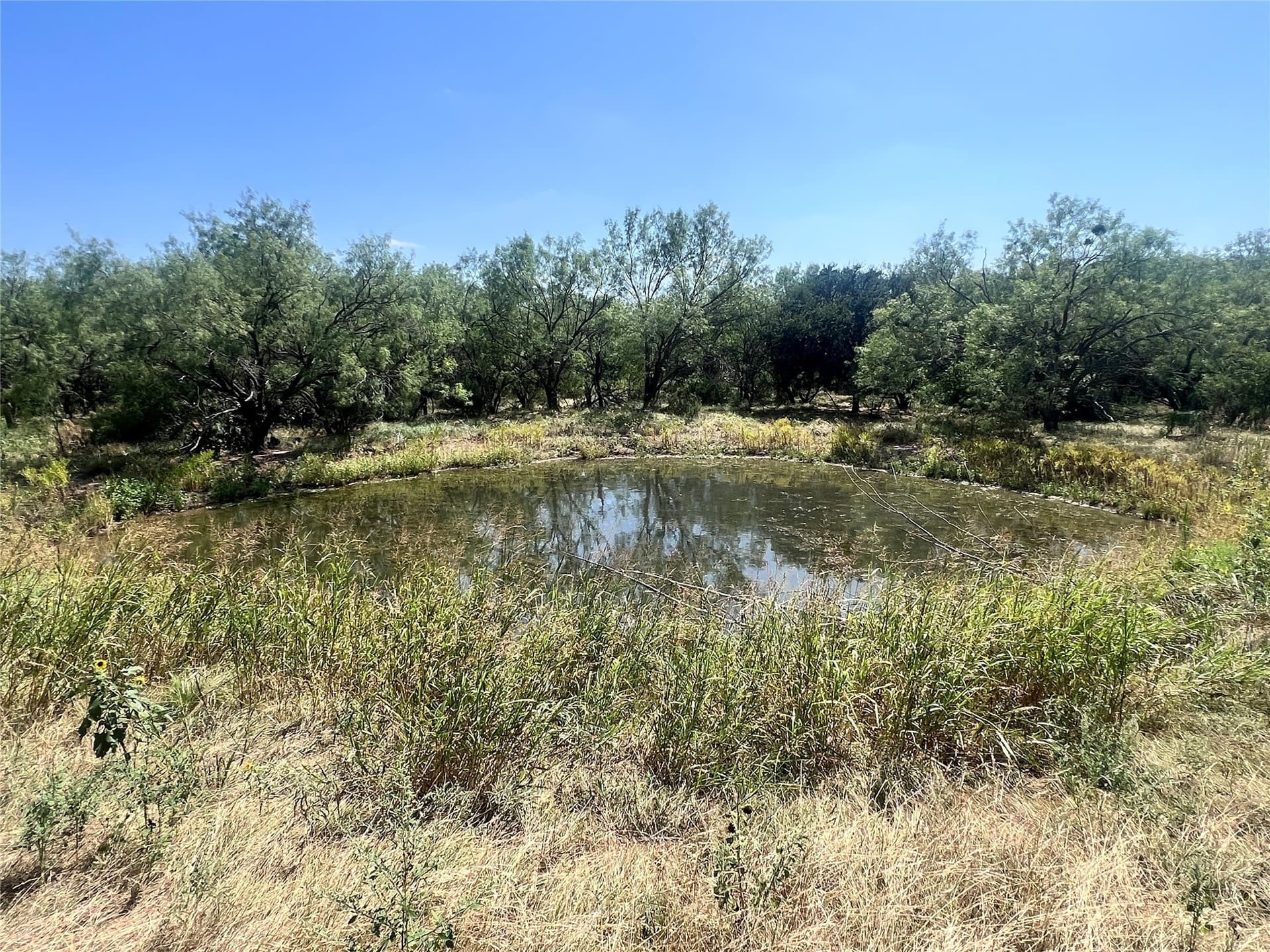 35.86 acres in Young County - photo 10