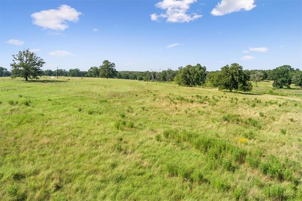 20.04 acres in Limestone County gallery image 3