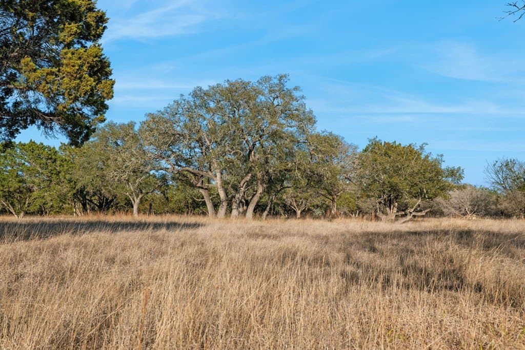 60.69 acres in Kerr County - photo 63