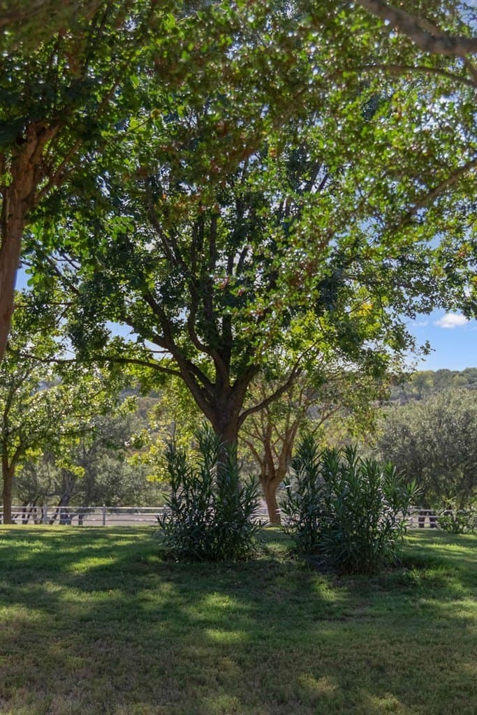 60.69 acres in Kerr County - photo 41