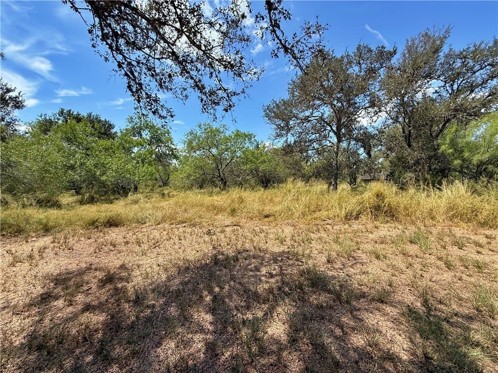 43,639 acres in Nueces County - photo 15
