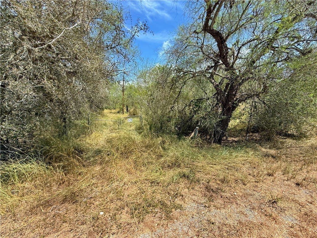 43,639 acres in Nueces County - photo 18