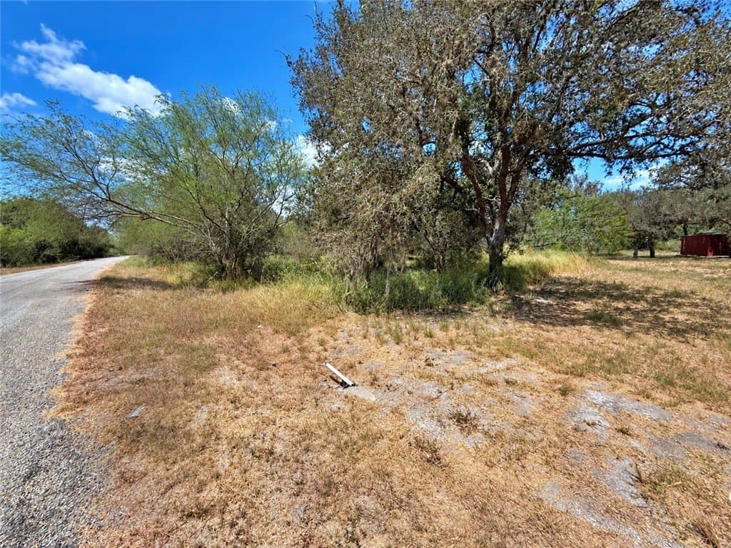 43,639 acres in Nueces County - photo 17