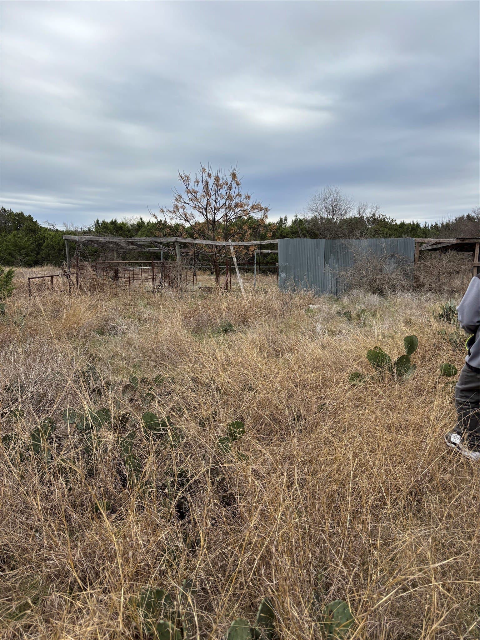 4.54 acres in Lampasas County - photo 6