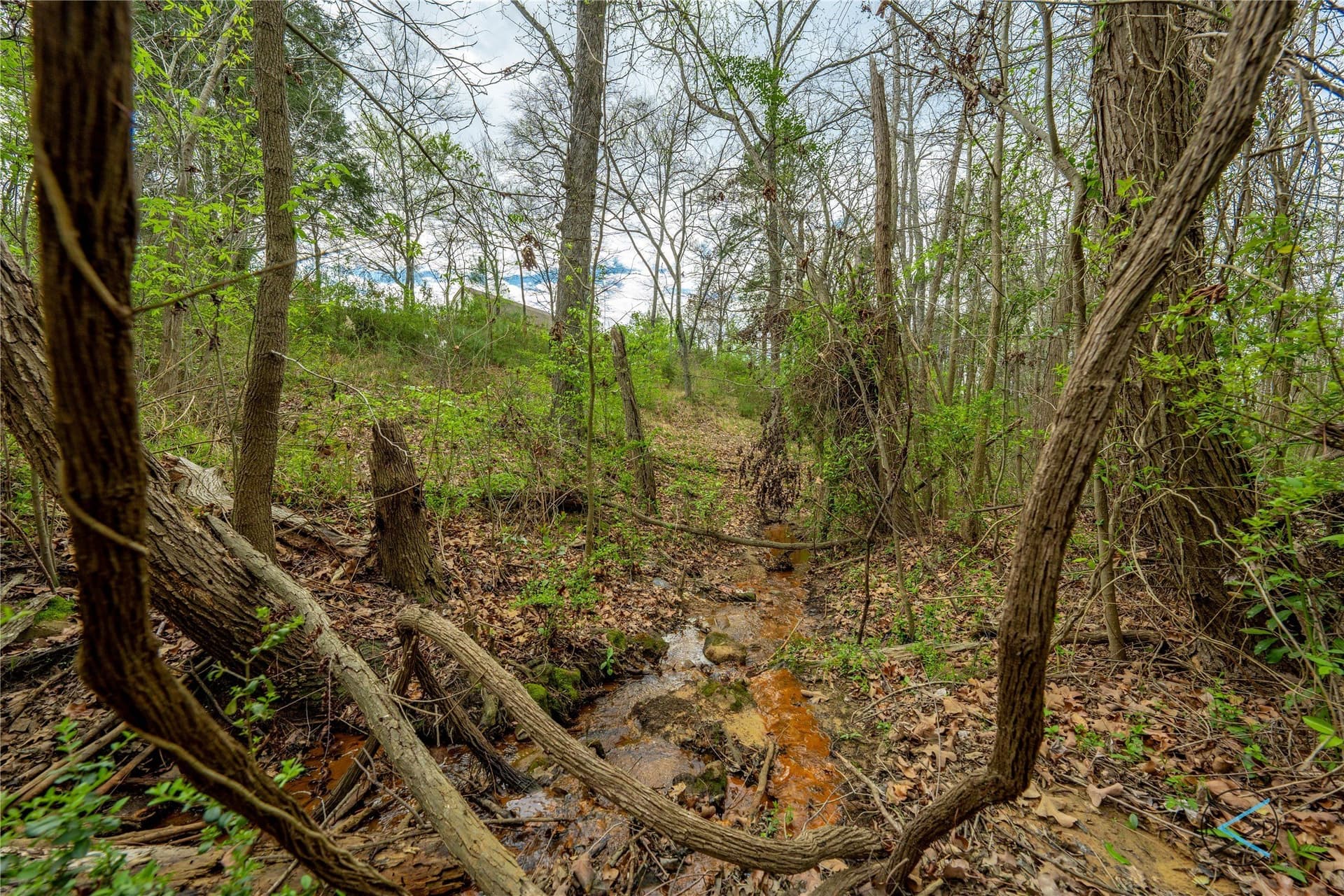 2.03 acres in Henderson County - photo 7