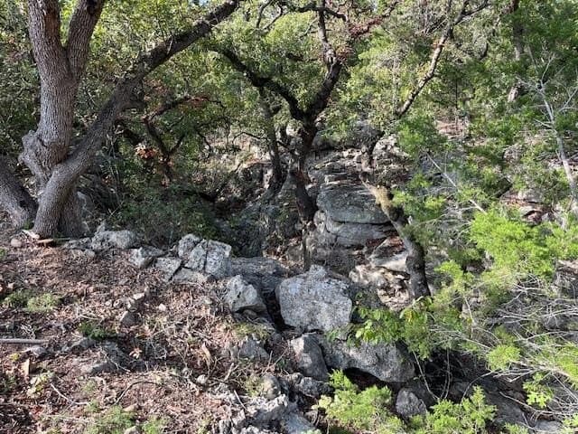 209 acres in Kerr County gallery image 4