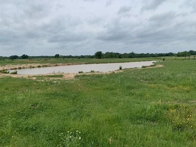 120 acres in Van Zandt County gallery image 4