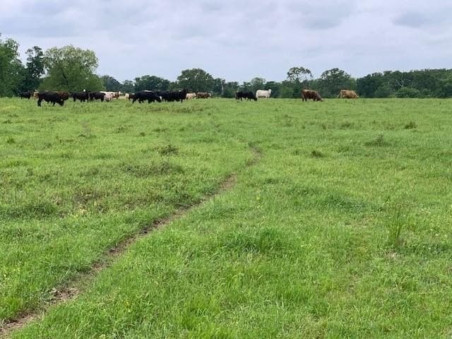 120 acres in Van Zandt County featured view