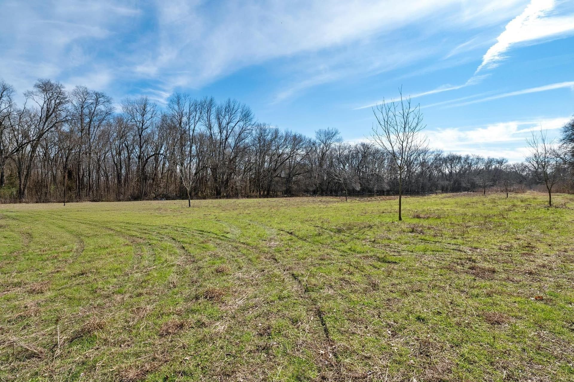 29.31 acres in Collin County - photo 23