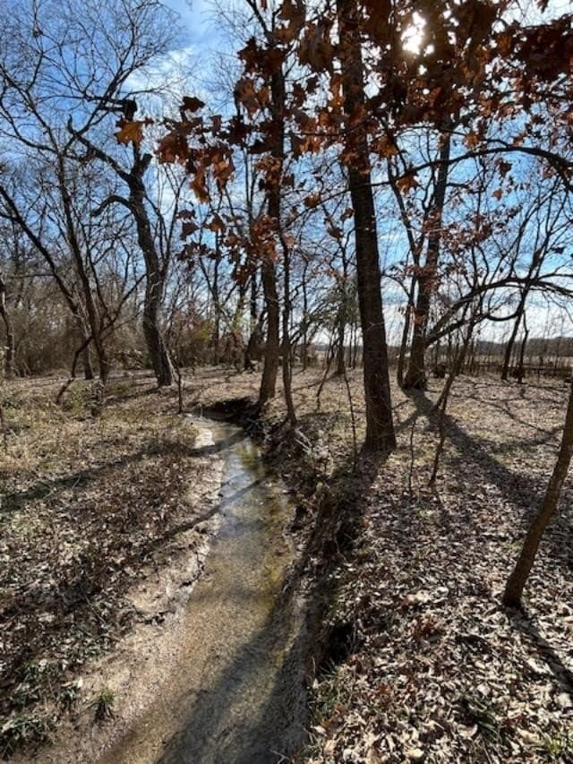29.31 acres in Collin County - photo 18