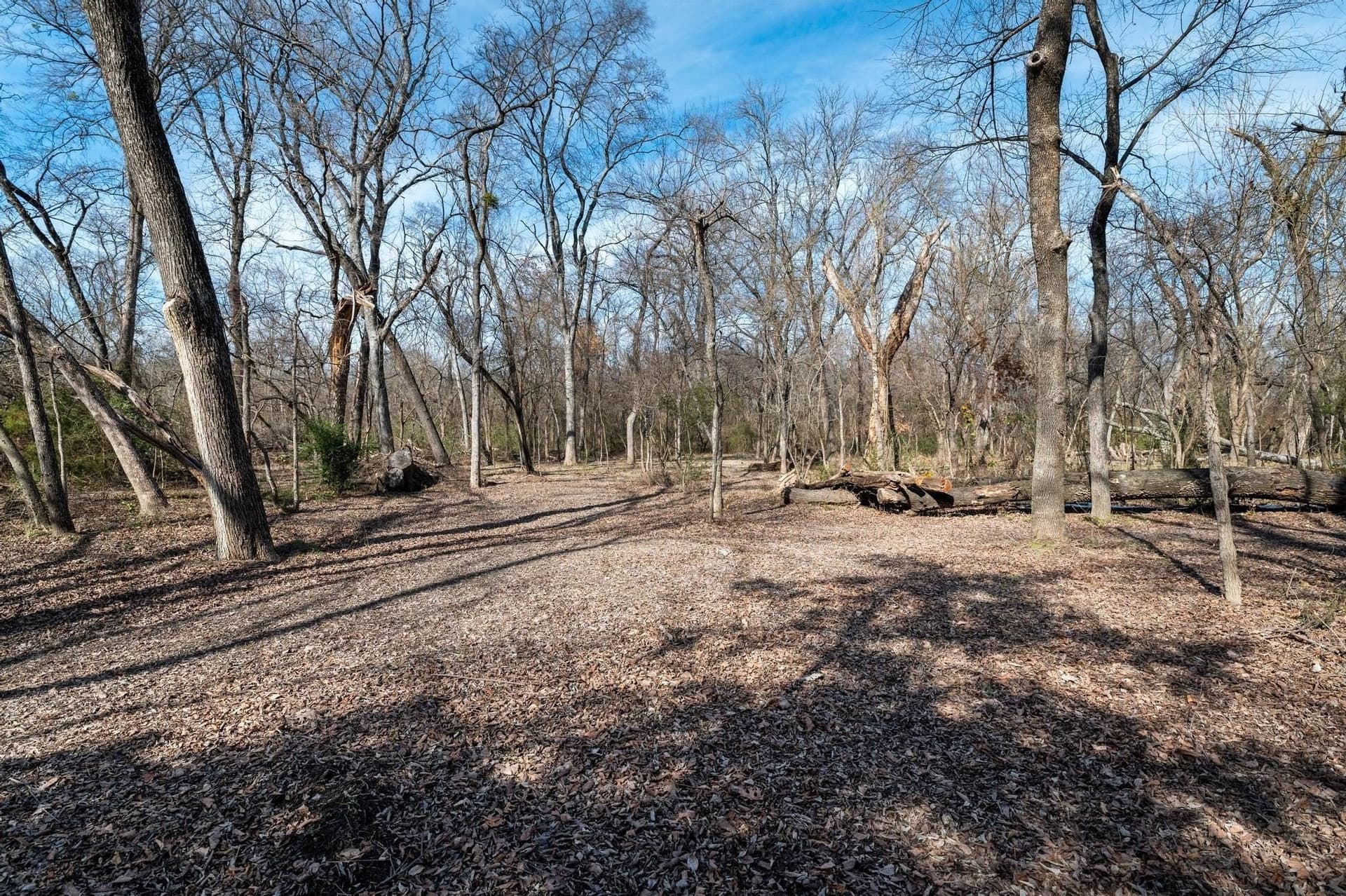 29.31 acres in Collin County - photo 16
