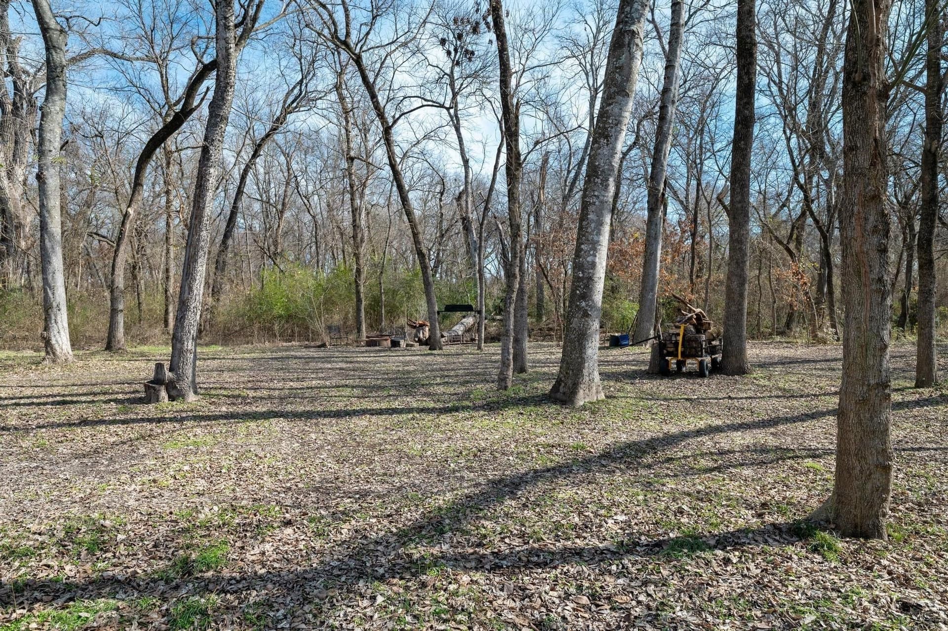 29.31 acres in Collin County - photo 14