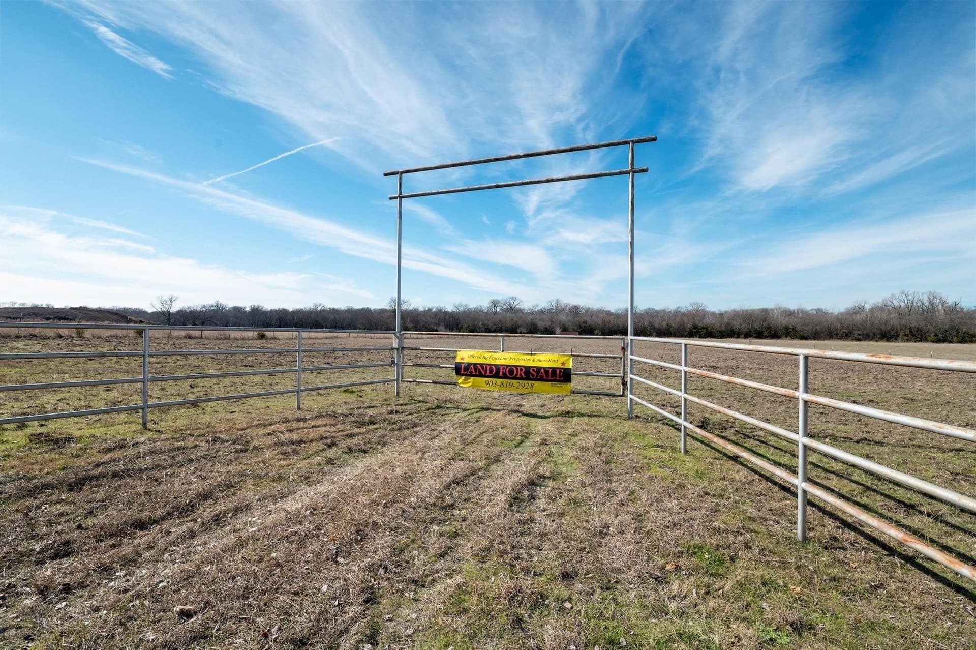 29.31 acres in Collin County - photo 4