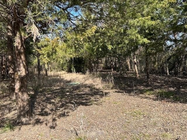 29.31 acres in Collin County - photo 21