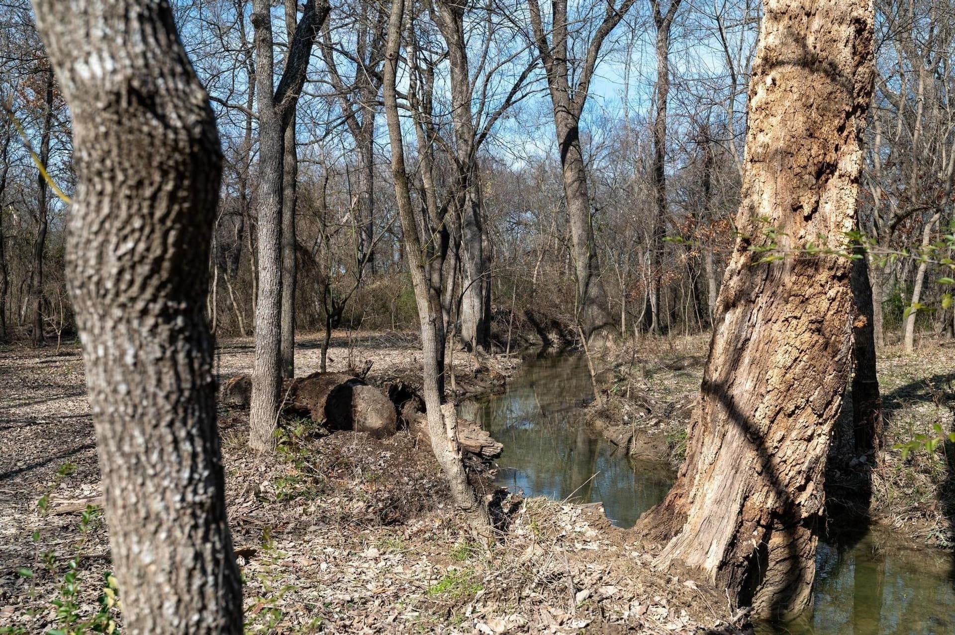 29.31 acres in Collin County - photo 17