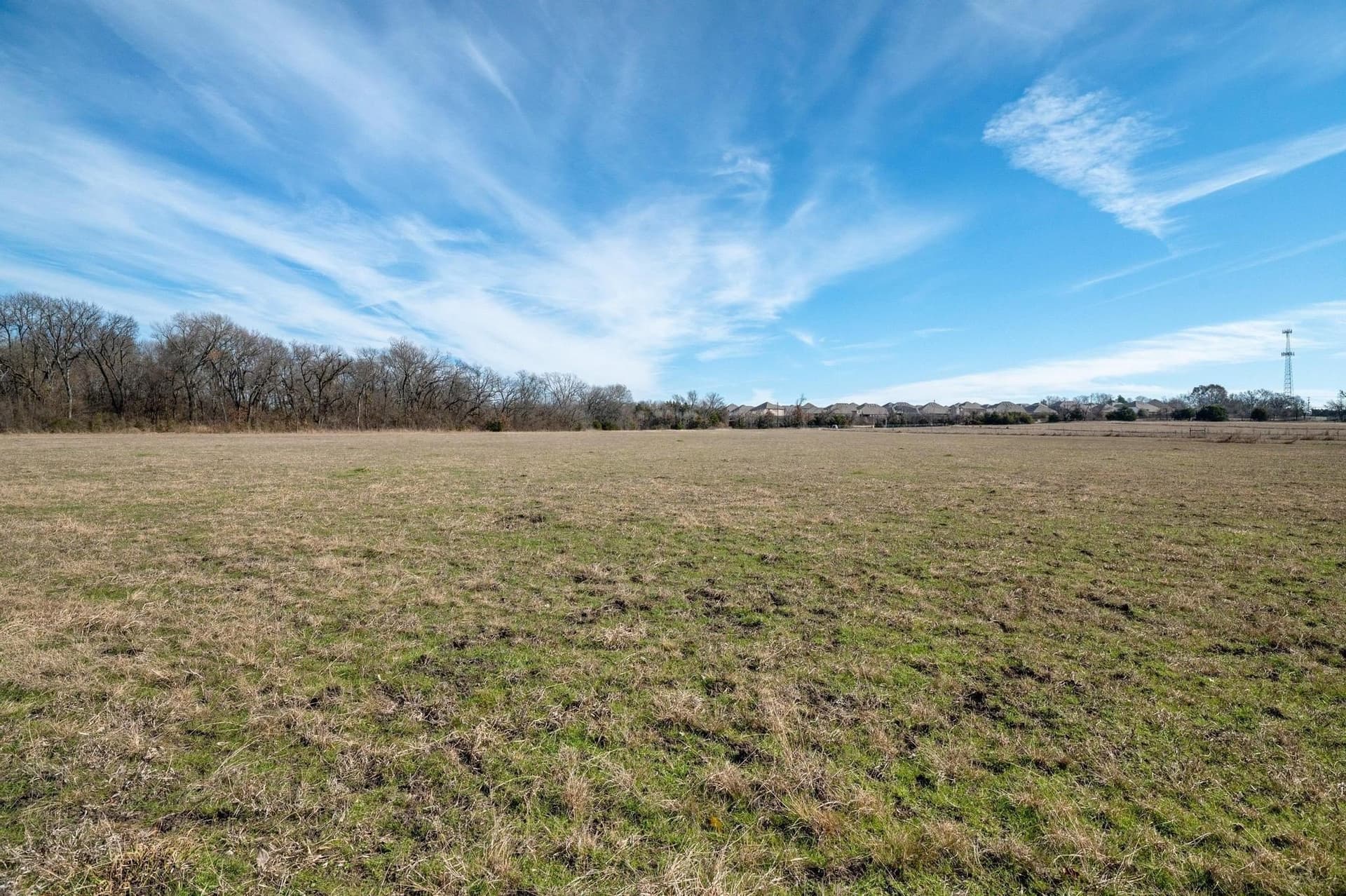 29.31 acres in Collin County - photo 9