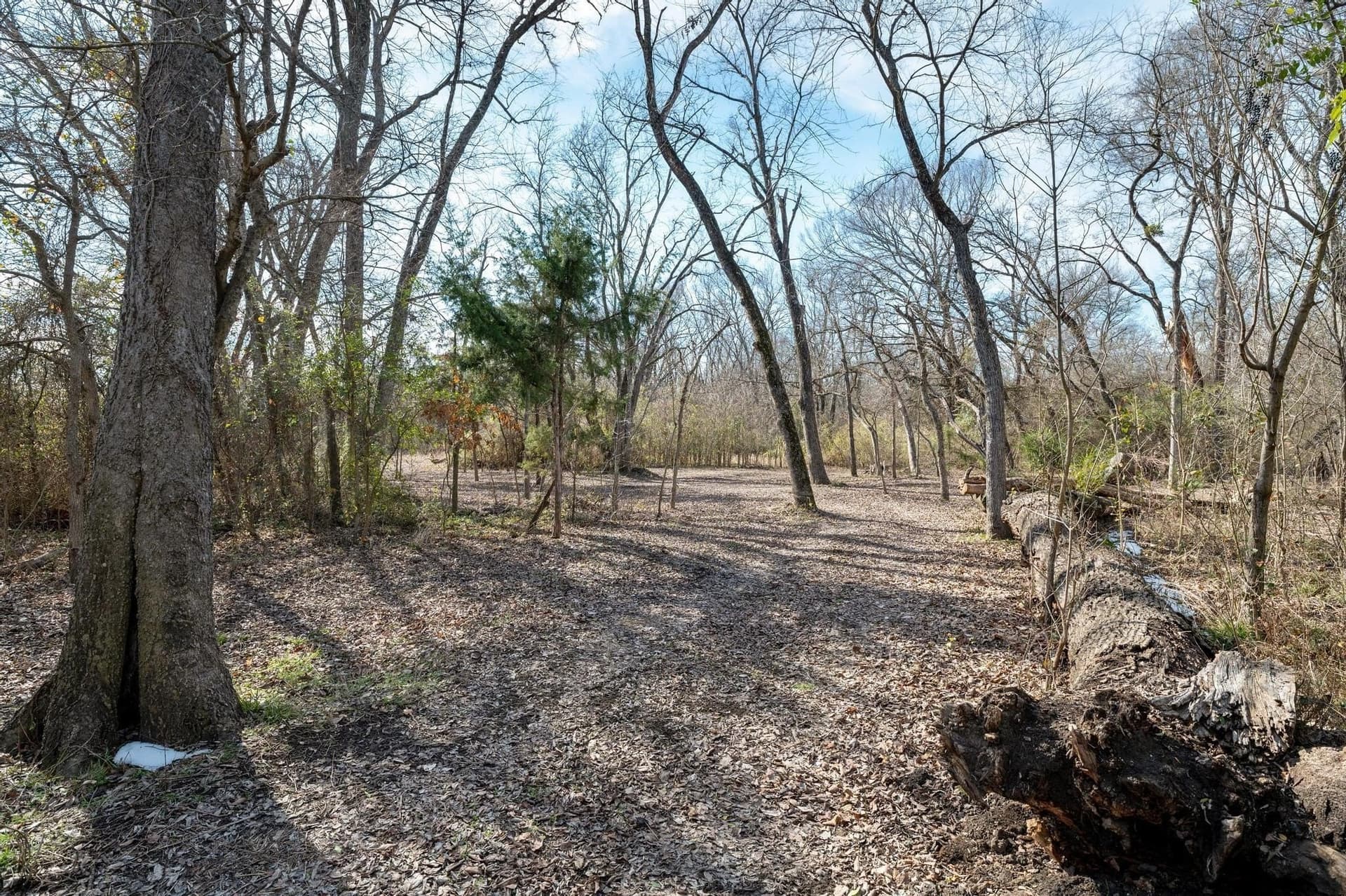 29.31 acres in Collin County - photo 15