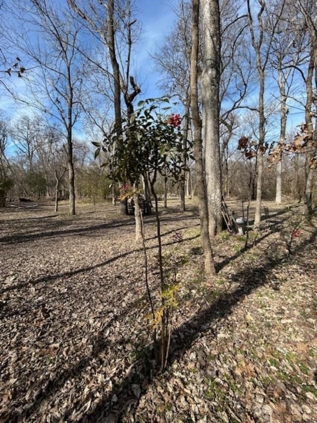 29.31 acres in Collin County - photo 12