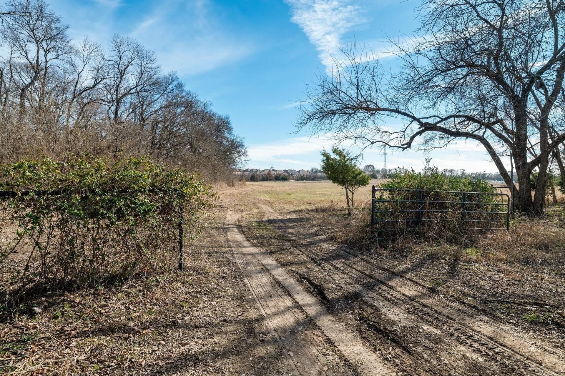 29.31 acres in Collin County - photo 11