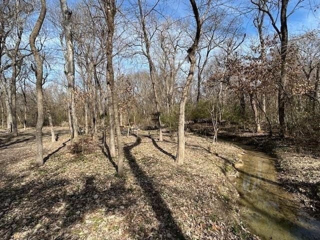 29.31 acres in Collin County - photo 13
