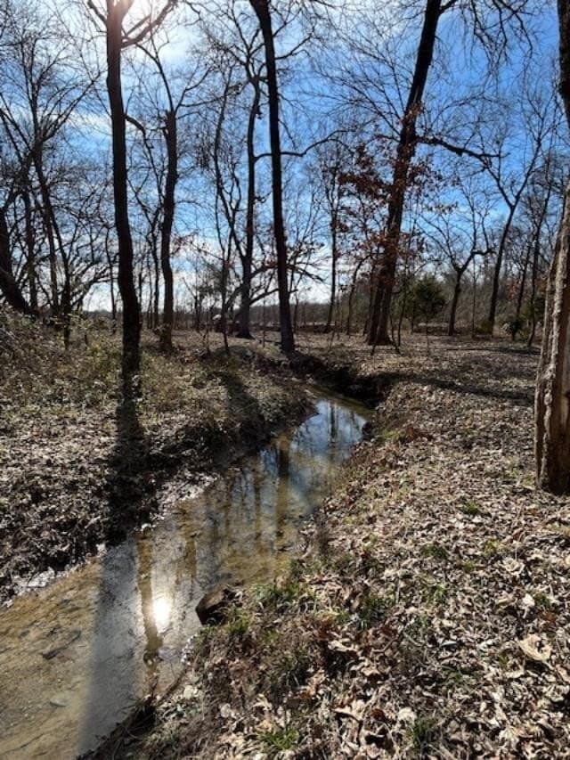 29.31 acres in Collin County - photo 19