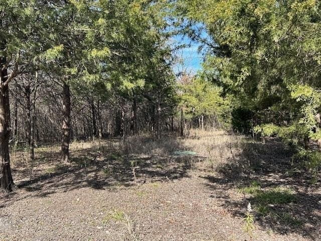 29.31 acres in Collin County - photo 20