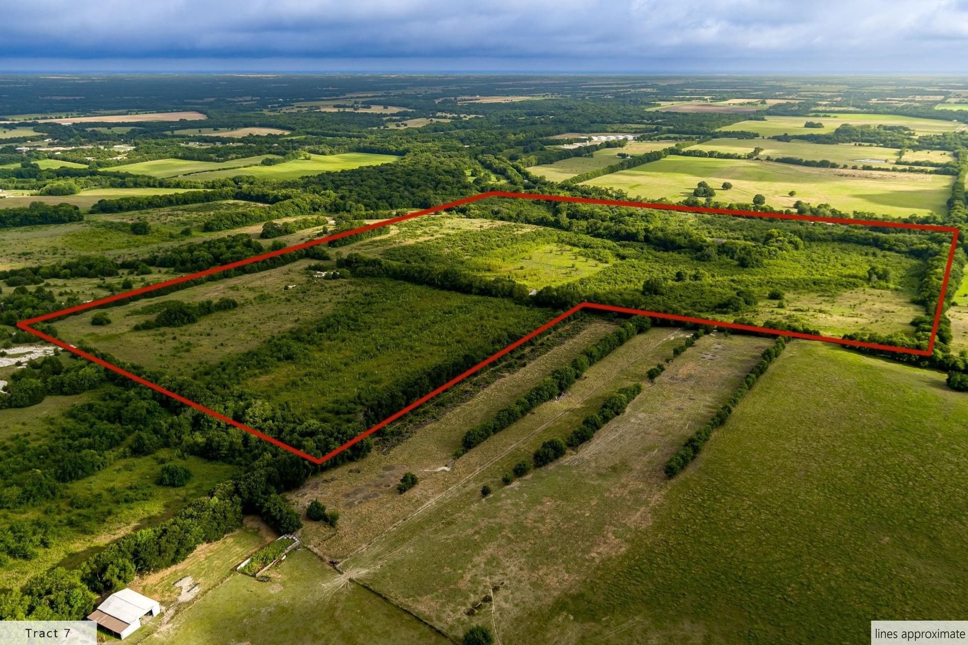 107.1 acres in Fannin County gallery image 3
