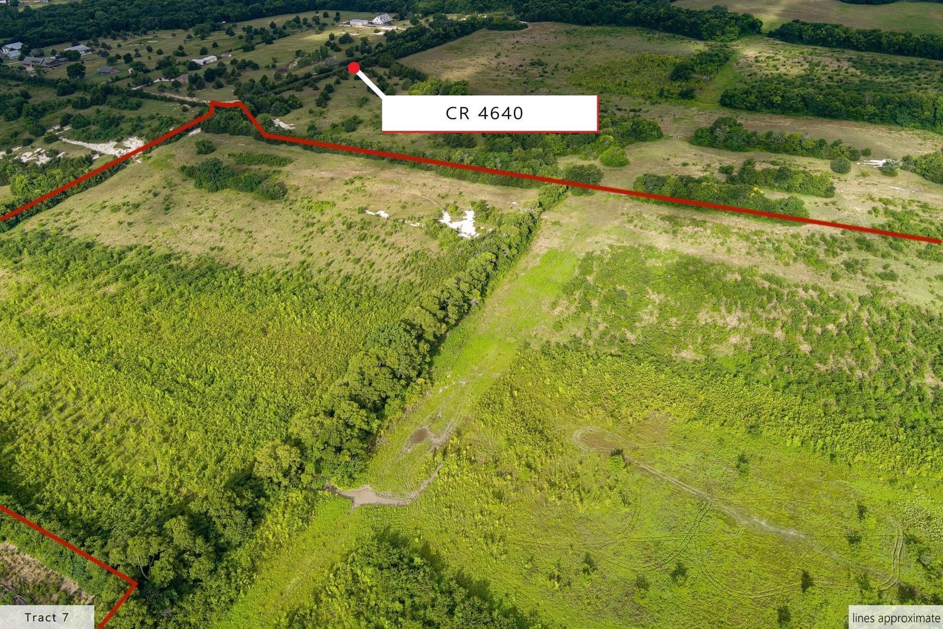107.1 acres in Fannin County gallery image 2