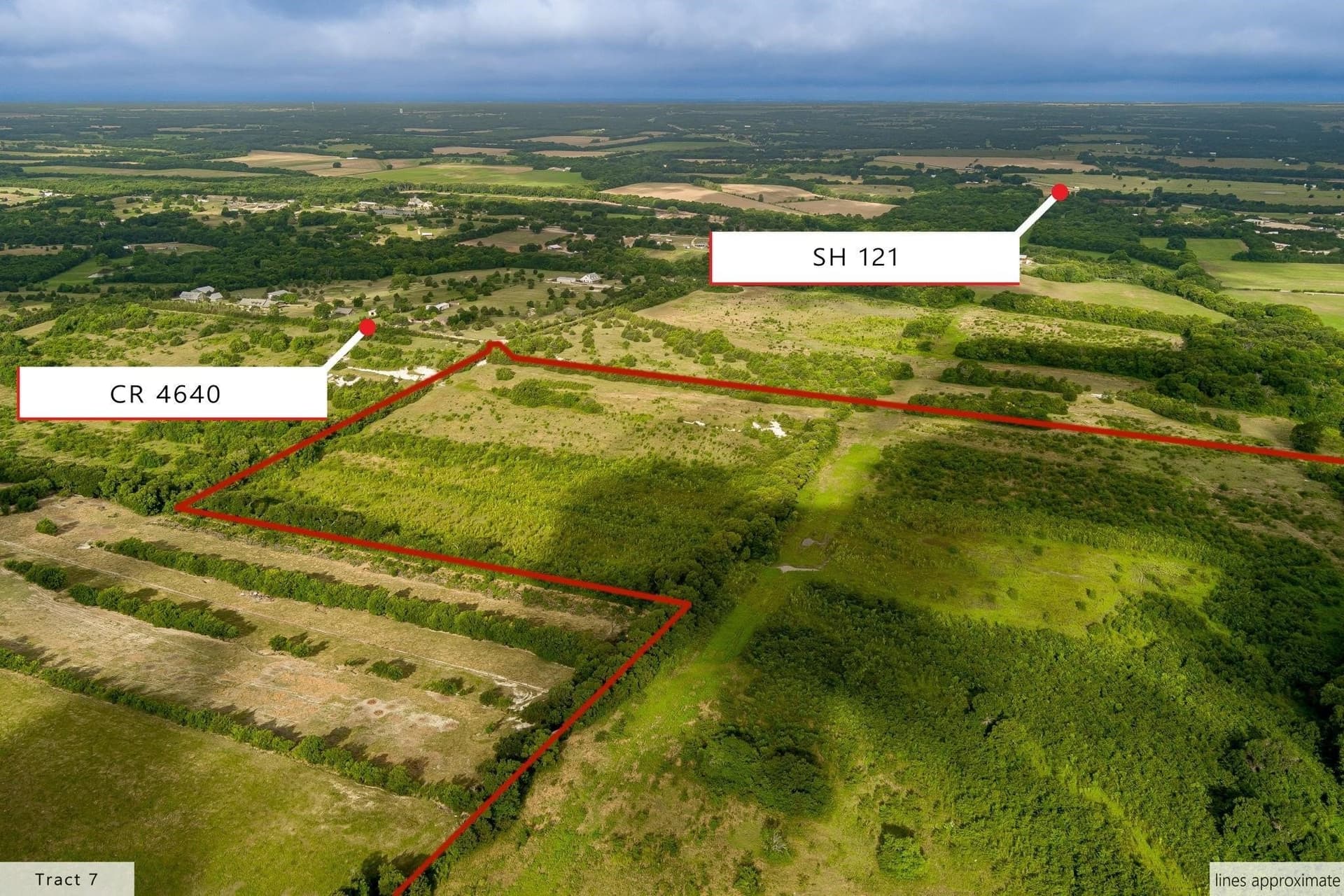 107.1 acres in Fannin County gallery image 4