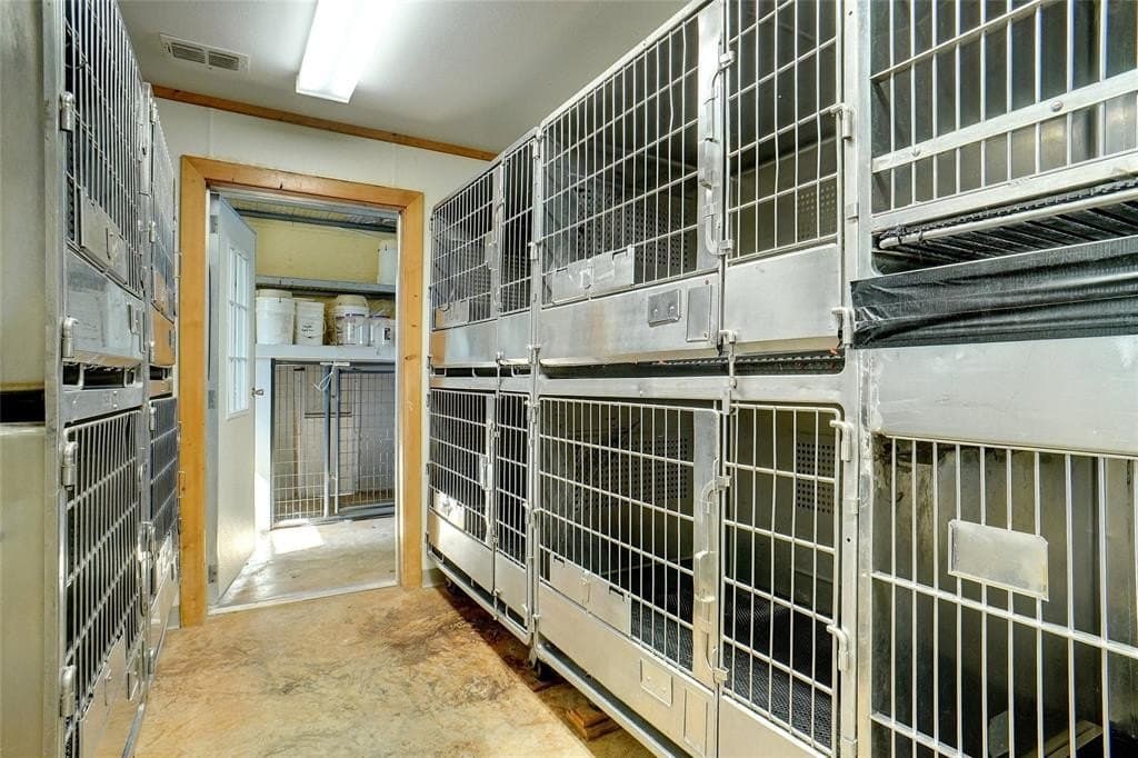 53.65 acres in Titus County gallery image 4