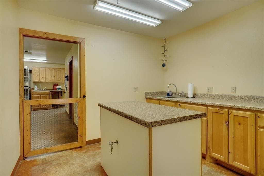 53.65 acres in Titus County gallery image 3