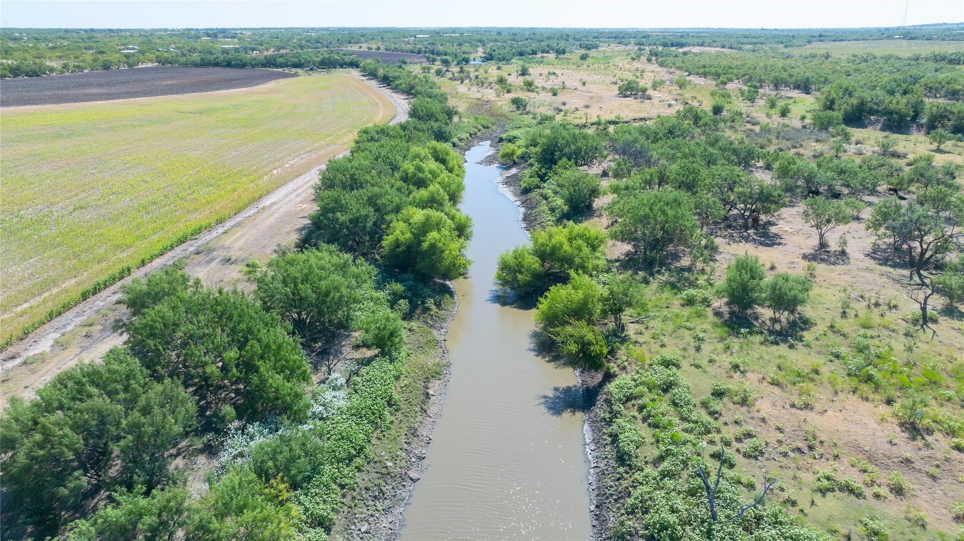 82.04 acres in Taylor County - photo 6