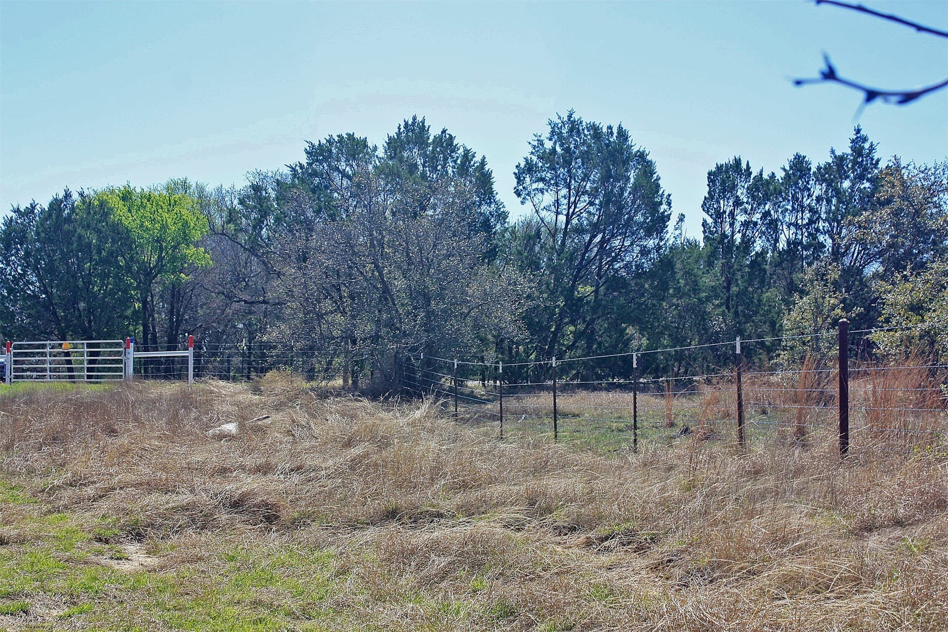 10 acres in Hood County gallery image 4