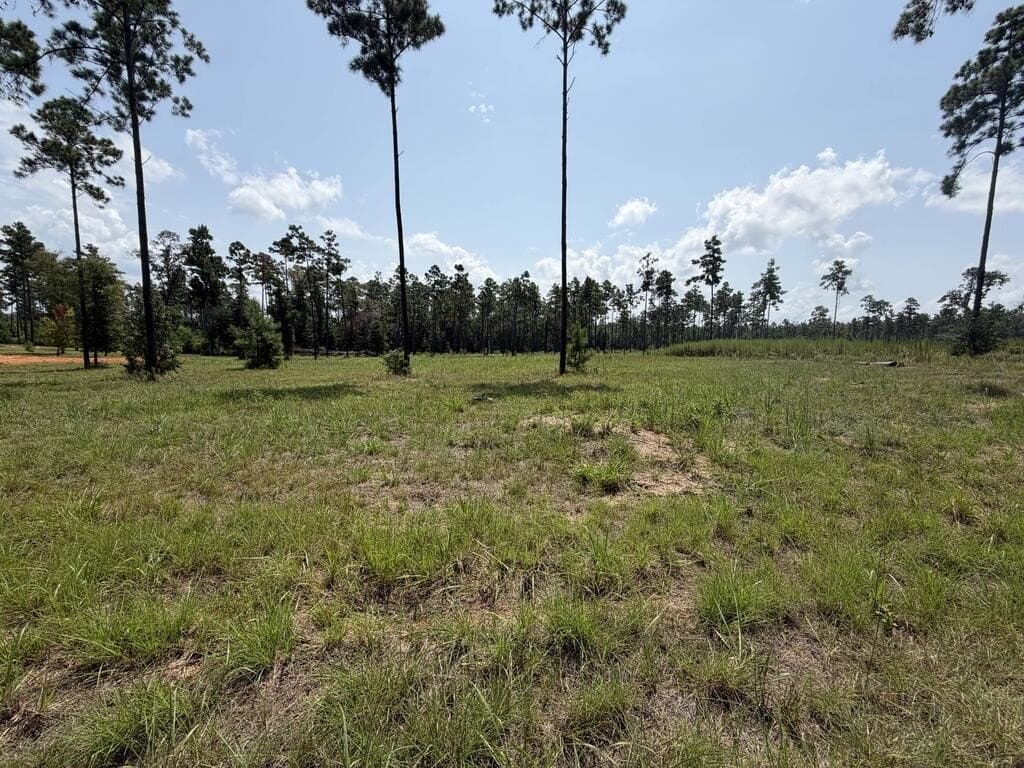 1.03 acres in Texas County - photo 7