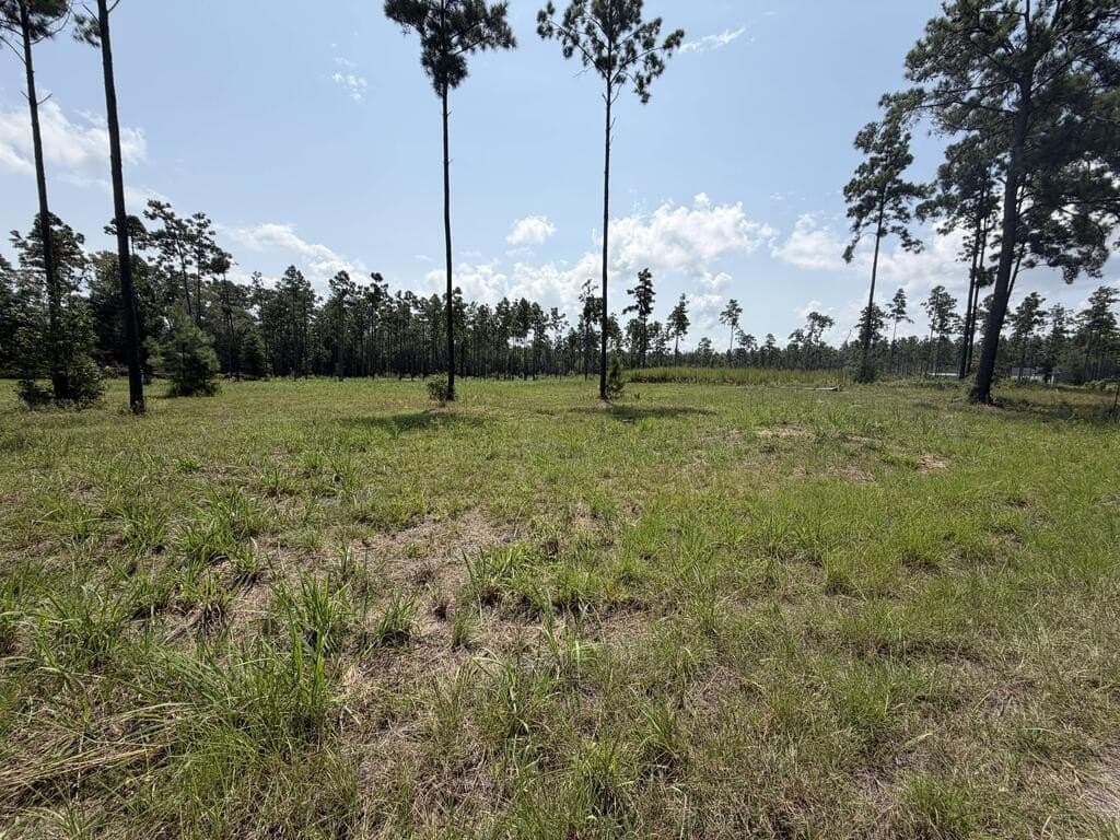 1.03 acres in Texas County - photo 5