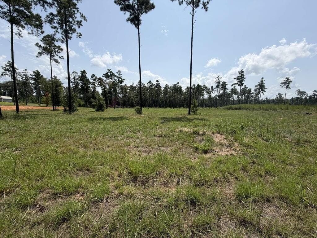 1.03 acres in Texas County - photo 9